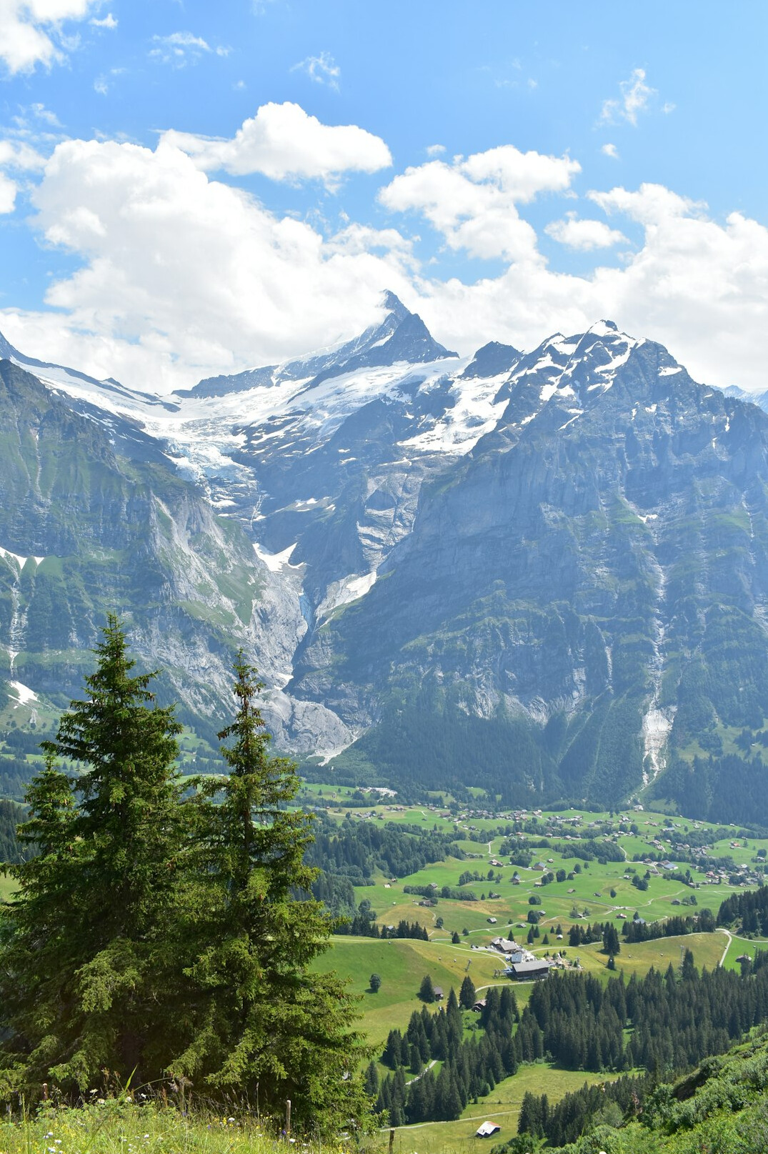swiss alps view
